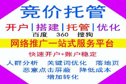 案例解析：sem竞价策略在电商平台的成功应用